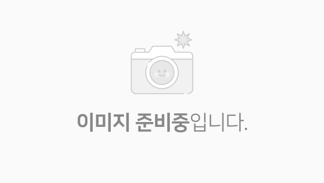 이미지 준비중입니다.