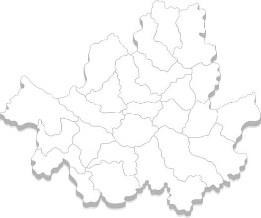 서울시전체