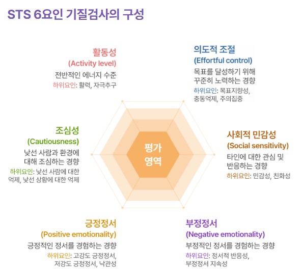 <검사 설명> 검사명: STS 6요인 기질검사 ? 성인용(확장형) 내용: STS는 개인의 타고난 기질을 측정하는 검사로, 개인이 자신의 타고난 기질을 이해함으로써 ‘나답게’ 성장하고 발전하도록 돕기 위해 개발되었습니다. 기질이란 생의 초기부터 나타나는 정서, 행동, 주의 반응에 대한 개인차로, 성인기 성격의 토대가 됩니다. STS는 기질의 주요 이론과 연구들에서 가장 공통적이고 안정적으로 제안되는 6가지 요인인 활동성, 조심성, 긍정정서, 부정정서, 사회적 민감성, 의도적 조절로 구성되었습니다. 또한, 6개의 기질 요인에 대해 각 2~3개의 하위요인을 추가로 제공하여 기질에 대한 세부적인 해석을 돕습니다.